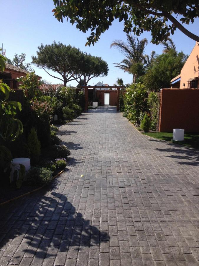 Estudio Con Jardincito Privado Barbacoa Y Piscina Cadiz Dış mekan fotoğraf
